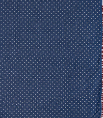 Indigo Printed Jaipur Cotton Saree With Floral Motifs-JC1856