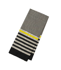 Grey Handloom Chanderi Cotton Tissue Saree With Black Stripes-CC1341