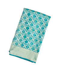 Aquamarine Handloom Organza Soft Silk Saree With Geometric Jaal Motifs-SO4069