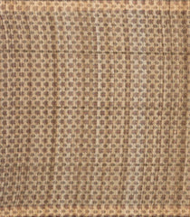 Indigo Handloom Dupion Silk Saree With Checks & Printed Pallu-DS0555