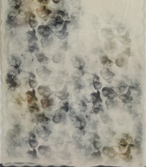 Cream Woven Blended Chiffon Saree With Printed Floral Motifs & Embroidered Selvage-EN1916