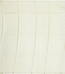 Light Green Handloom Tussar Saree With Printed Floral Motifs-TU3058
