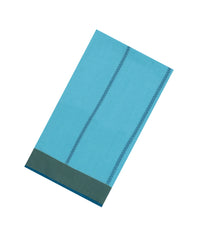 Turquoise Handloom Bengal Cotton Saree With Stripes-BG1837