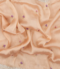 Light Peach Embroidered Synthetic Tissue Saree With Floral Motifs-SY0568
