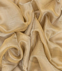 Taupe Blended Tussar Tissue Saree With Zari Border-Taupe