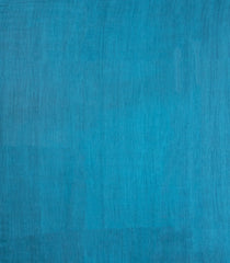 Steel Blue Woven Tussar Silk Saree With Contrast Pallu-TU3281