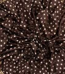 Brown Handloom Silk Saree With Printed Pallu & Hand Embroidered Selvage-EN1718