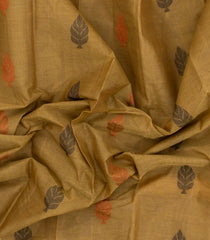 Dark Beige Handloom Rasipuram Cotton Saree With Contrast Border-RA2584