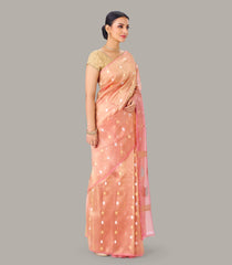 Light Peach Banarasi Organza Tissue Silk Saree With Floral Motifs