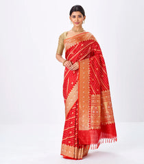 Red Handwoven Banarasi Silk Saree With Diagonal Floral Motifs