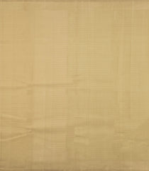 Cardamom Green Handloom Kanchipuram Silk Saree With Checks-KA15730