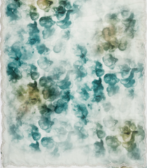 Teal Woven Blended Chiffon Saree With Printed Floral Motifs & Embroidered Selvage-EN1922