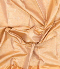 Cream Woven Tissue Silk Saree With Floral Zari Motifs-KA15557