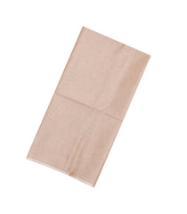 Taupe Woven Tussar Silk Saree With Stripes-TU3504