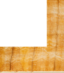 Yellow Handloom Tussar Silk Saree With Eco Printed Motifs-TU2828