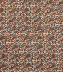 Shadow Green Woven Chirala Cotton Saree With Printed Border & Pallu-CR1363