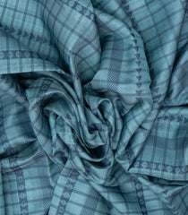 Shadow Green  Handloom Soft Silk Saree With Stripes & Checks-SO4199