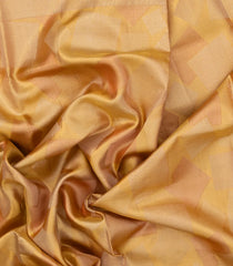 Orange Handloom Tissue Kanchipuram Silk Saree With Square Motifs-KA14047