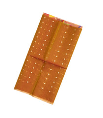 Mustard Woven Organza Saree With Sequin Work & Paithani Pallu-TU2645