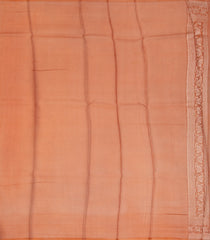 Peach Handloom Banarasi Organza Silk Saree With Floral Stripes-BE1583
