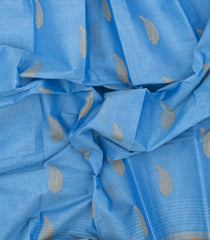 Light Blue Woven Rasipuram Cotton Saree With Floral Buttas-RA2563