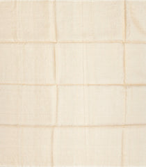 Cream Handloom Tussar Silk Saree With Meena Butta Motifs-TU2655