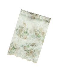 Light Green Woven Blended Chiffon Saree With Printed Floral Motifs & Embroidered Selvage-EN1914