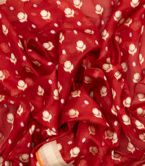 Red Handloom Organza Satin Soft Silk Saree With Floral Motifs-SO4092