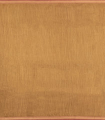 Beige Woven Tussar Silk Saree With Thread work Border-TU3524