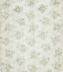 Light Green Woven Blended Chiffon Saree With Printed Floral Motifs & Embroidered Selvage-EN1914