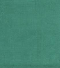 Sea Green Printed Tussar Silk Saree With Stripes-TU3370