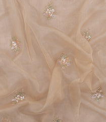 Peach Woven Pure Organza Silk Saree With Floral Embroidery -EN2113