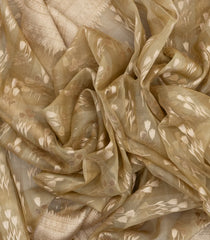 Taupe Handloom Organza Soft Silk Saree With Floral Motifs-SO4141
