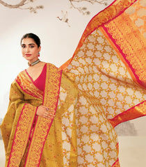 Yellow Handloom Bel Jaal Lino Varna Silk Saree With Meena Motifs-KA16400