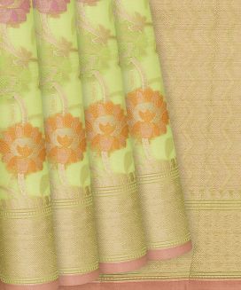 Light Green Handloom  Cotton Saree With Floral Vine Motifs
